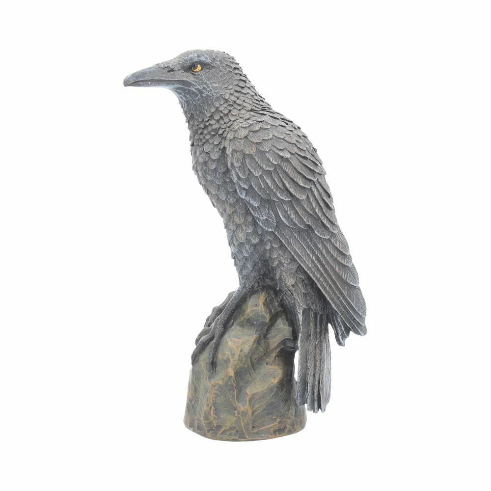 Raven Crow Black Bird Ornament Gothic Edgar Allan Poe Figurine Boxed Gift