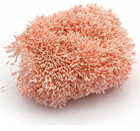 Artificial Flower Stamen Double Head Eco Friendly Floral Craft Wedding 1mm 250pc - 16. Peach