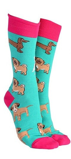 Sock Society Cotton Soft Stretchy Christmas Socks One Size Fits all (Adult 5-12) - Dogs Aqua 1 Pair