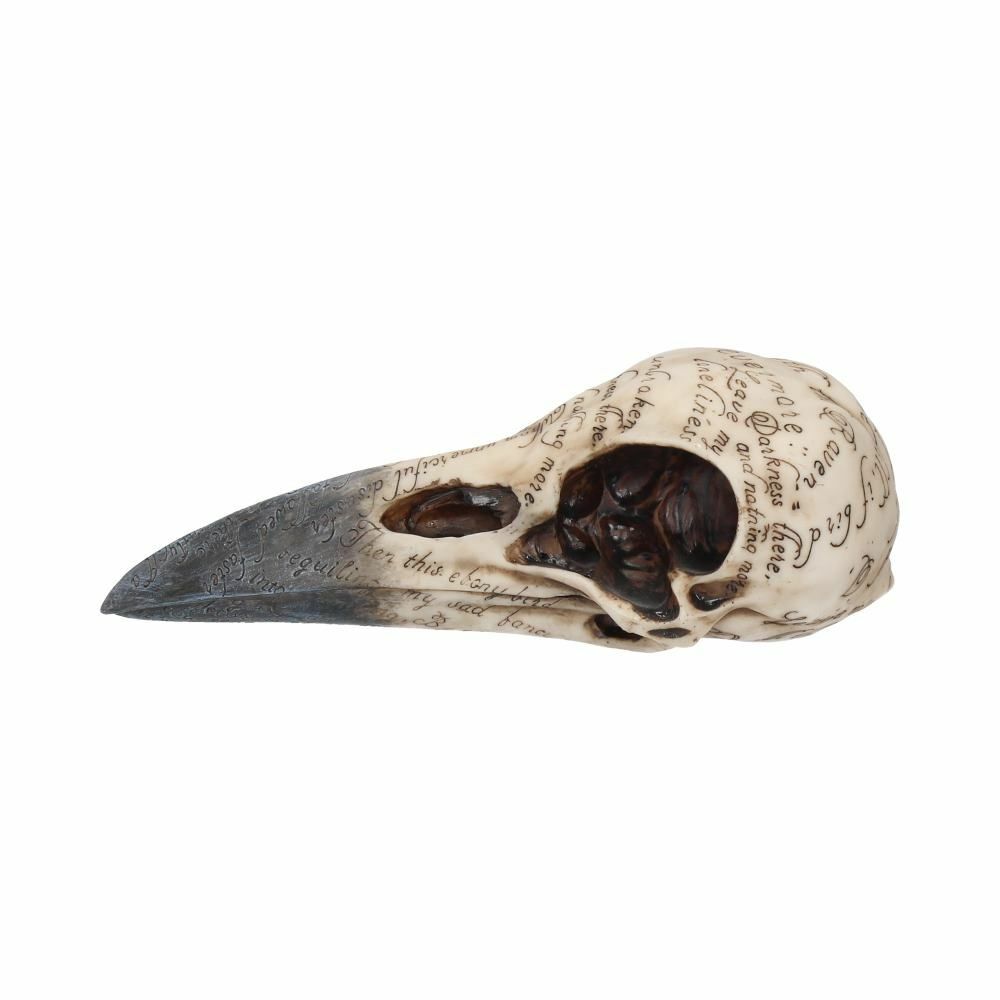 Raven Crow Black Bird Ornament Gothic Edgar Allan Poe Figurine Boxed Gift