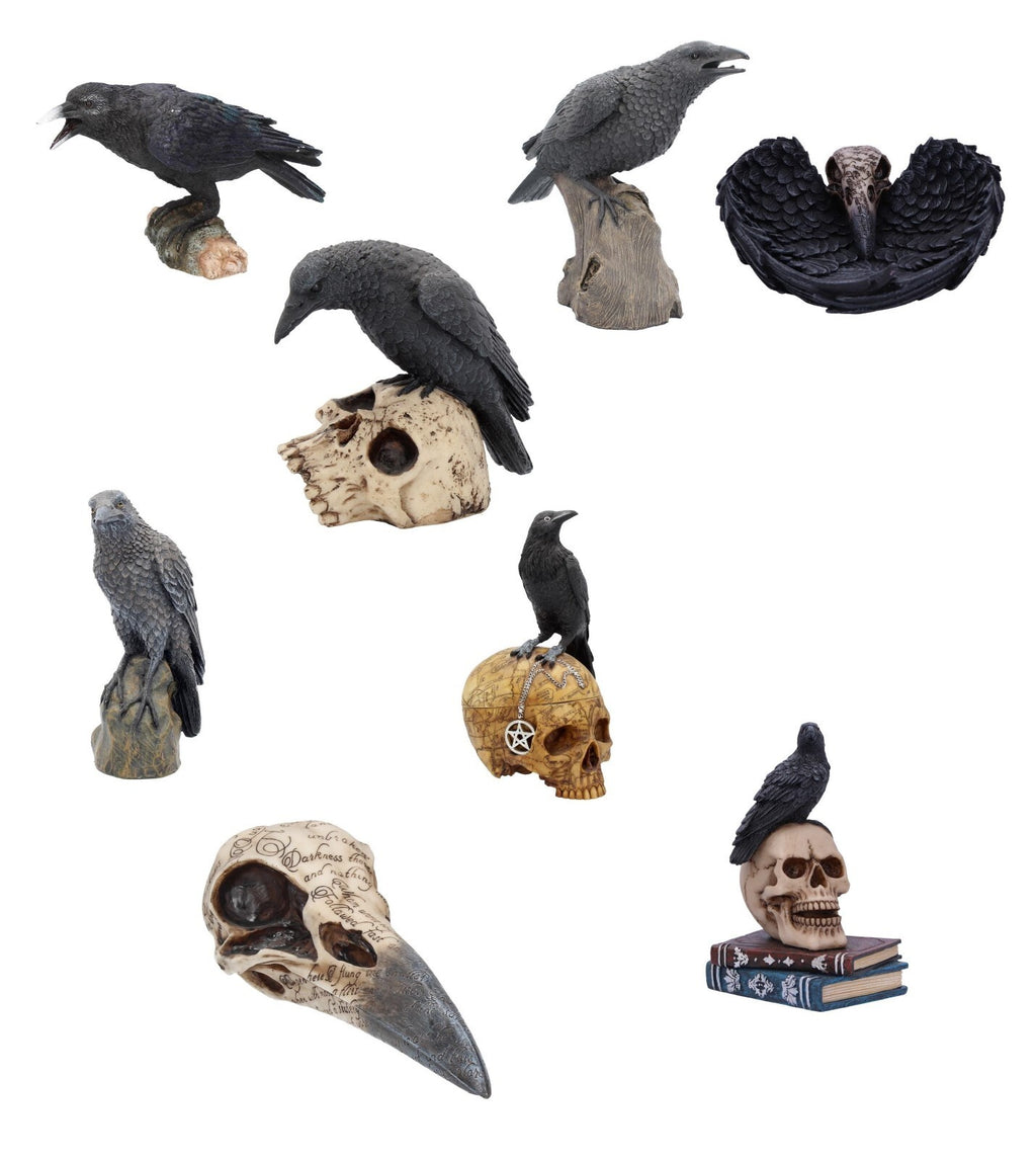 Raven Crow Black Bird Ornament Gothic Edgar Allan Poe Figurine Boxed Gift