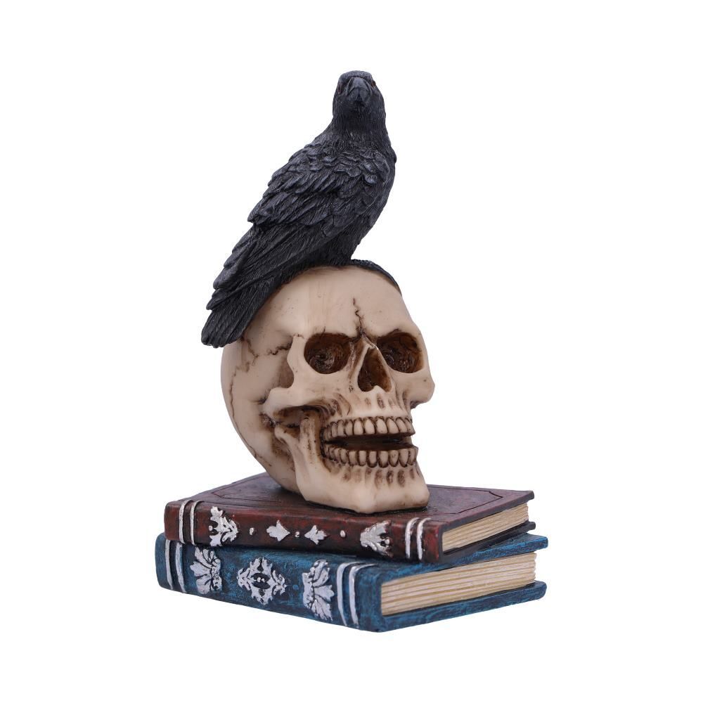 Raven Crow Black Bird Ornament Gothic Edgar Allan Poe Figurine Boxed Gift - Raven's Spell 10.3cm
