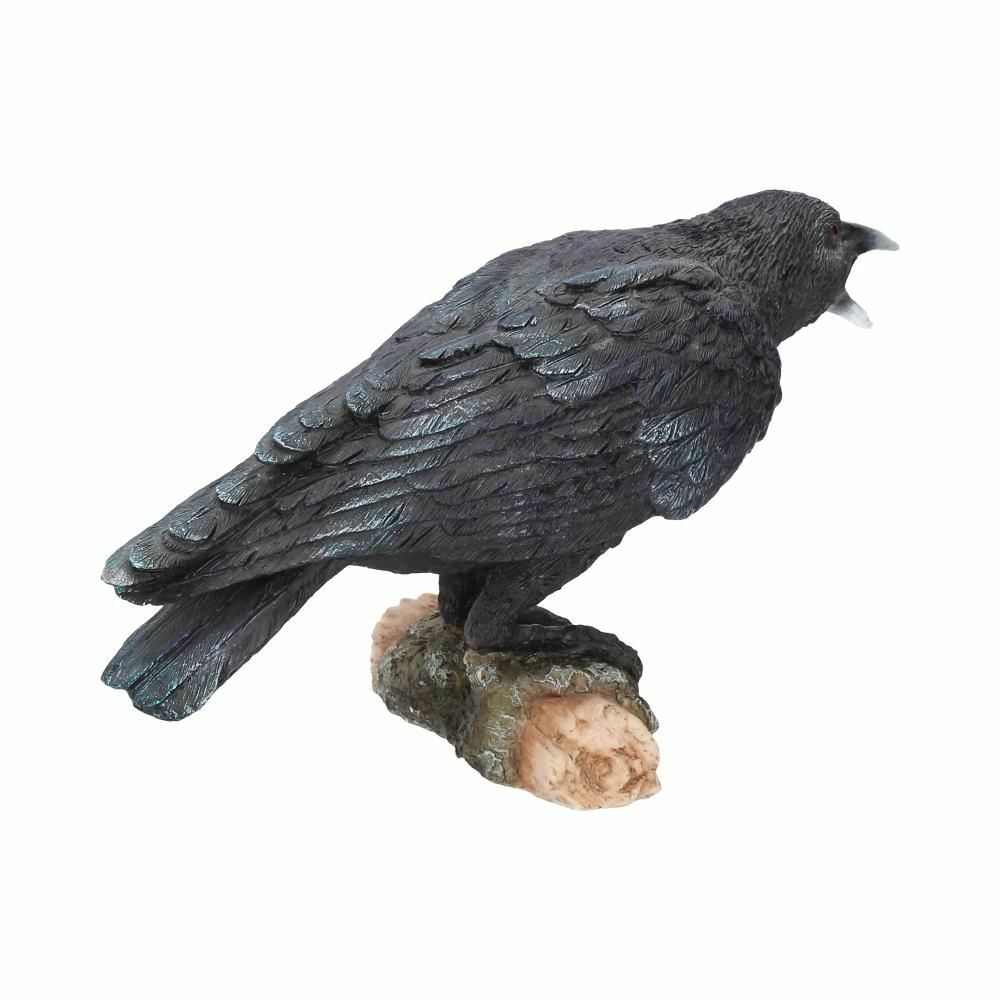 Raven Crow Black Bird Ornament Gothic Edgar Allan Poe Figurine Boxed Gift