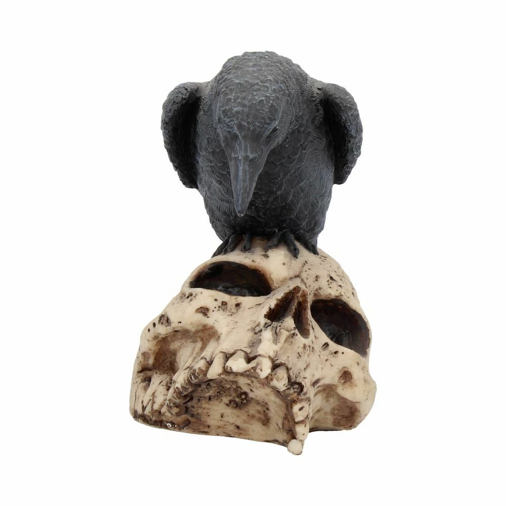 Raven Crow Black Bird Ornament Gothic Edgar Allan Poe Figurine Boxed Gift