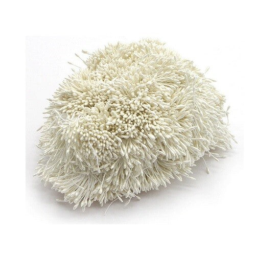 Artificial Flower Stamen Double Head Eco Friendly Floral Craft Wedding 1mm 250pc - 14. White