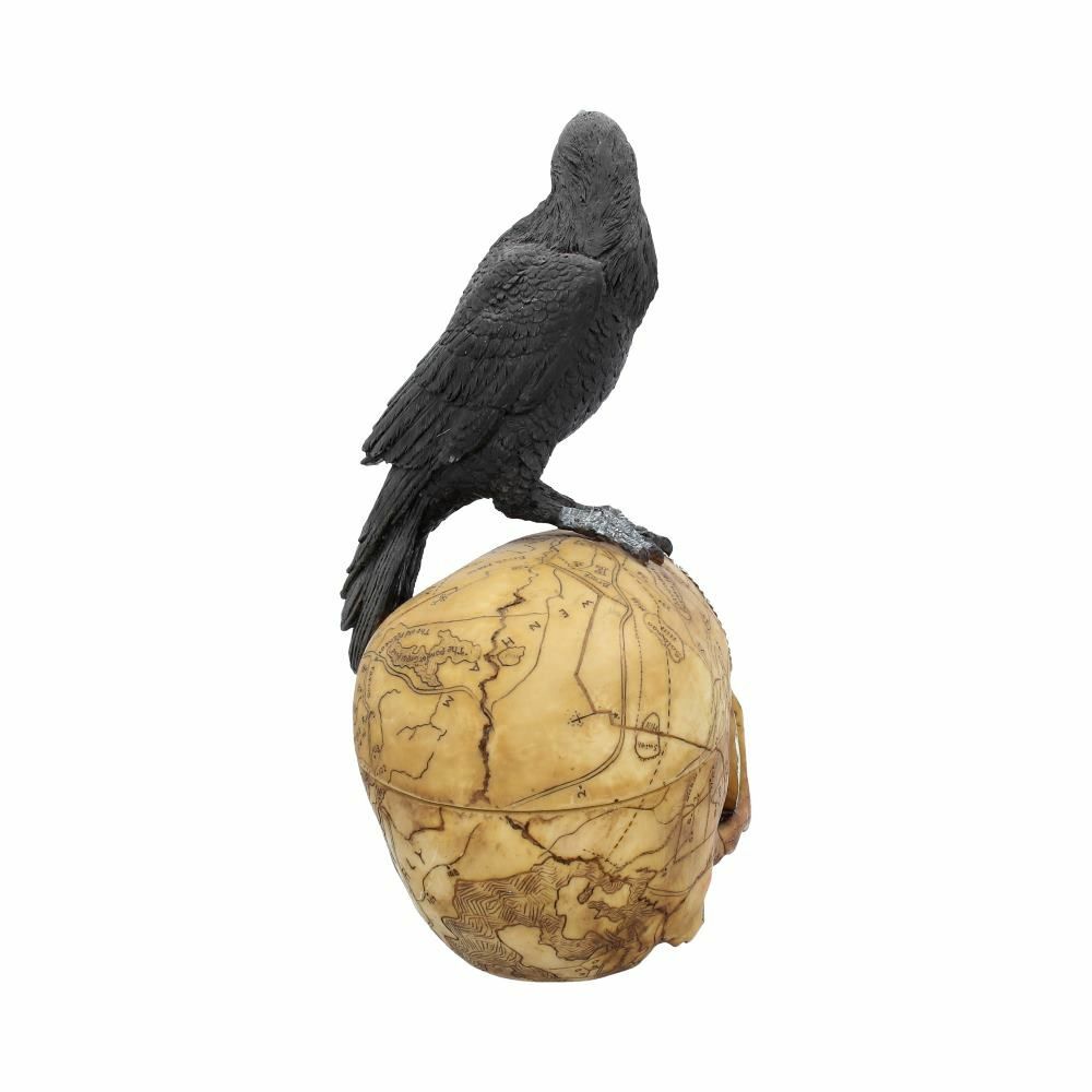 Raven Crow Black Bird Ornament Gothic Edgar Allan Poe Figurine Boxed Gift