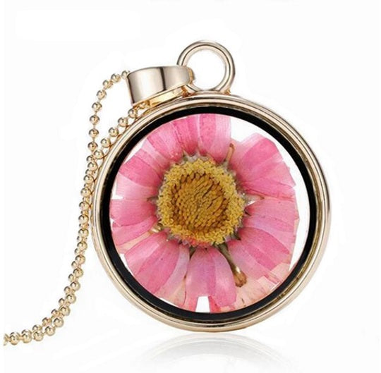 Dried Flower Round Locket Pendant Gold Plated Glass Charm Chain Necklace Botanic - Pink Daisy