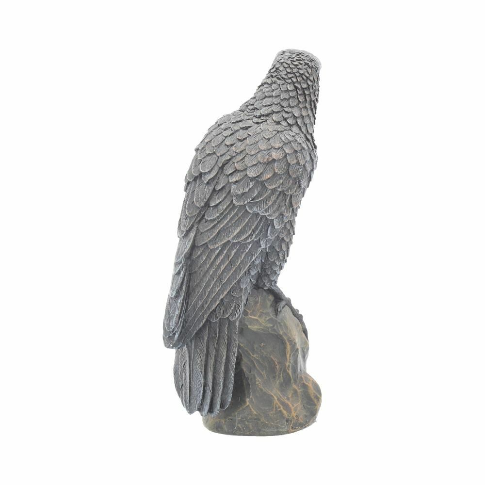 Raven Crow Black Bird Ornament Gothic Edgar Allan Poe Figurine Boxed Gift