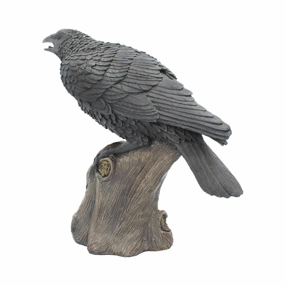Raven Crow Black Bird Ornament Gothic Edgar Allan Poe Figurine Boxed Gift
