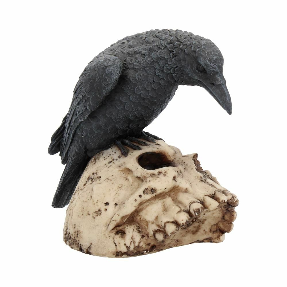 Raven Crow Black Bird Ornament Gothic Edgar Allan Poe Figurine Boxed Gift