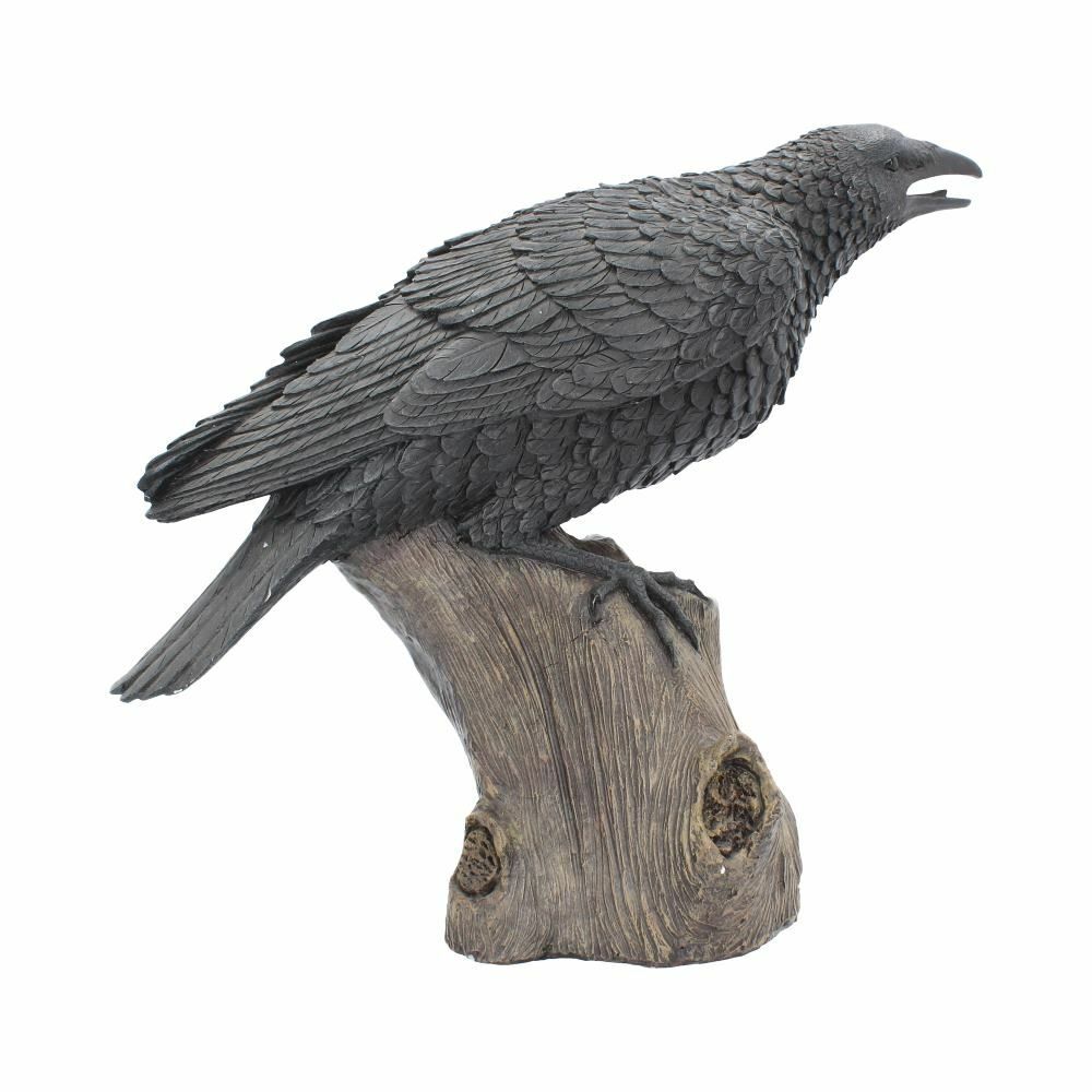 Raven Crow Black Bird Ornament Gothic Edgar Allan Poe Figurine Boxed Gift