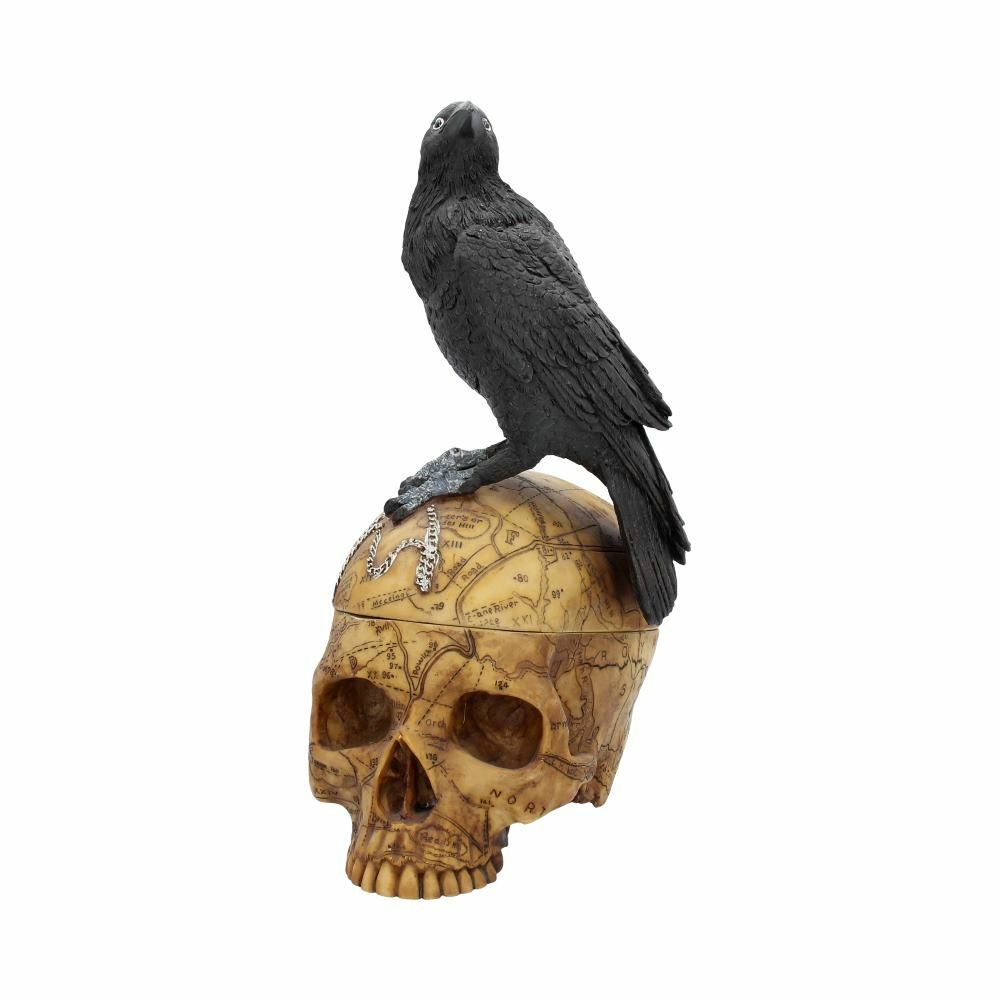 Raven Crow Black Bird Ornament Gothic Edgar Allan Poe Figurine Boxed Gift