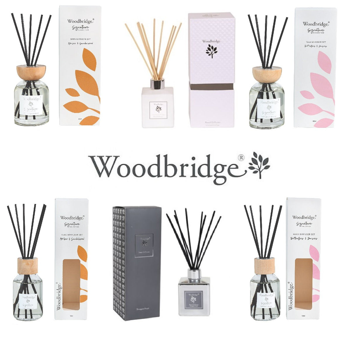 Woodbridge Premium Luxury Reed Diffuser Boxed Scented Home Gift