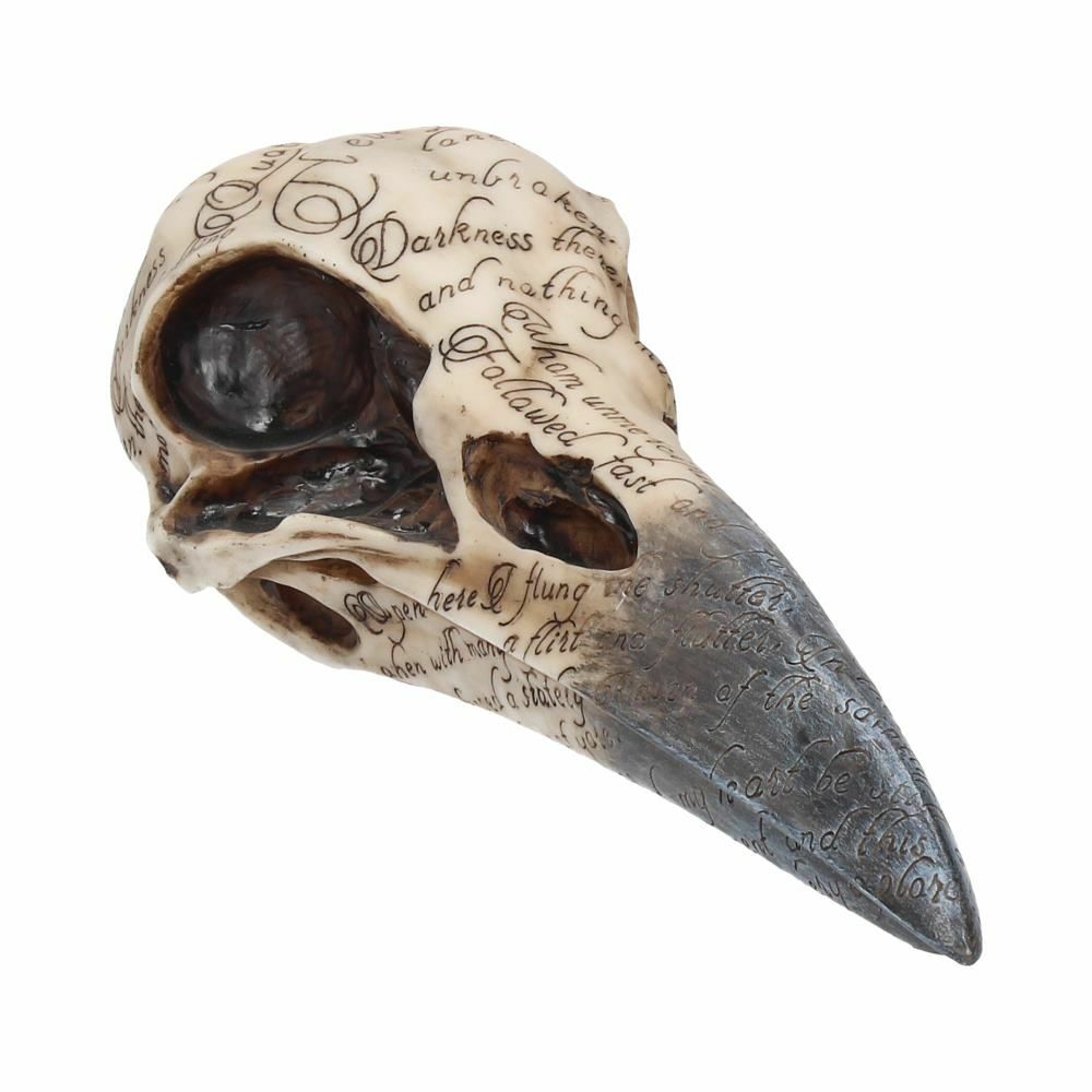 Raven Crow Black Bird Ornament Gothic Edgar Allan Poe Figurine Boxed Gift - Edgar's Raven Skull 21cm
