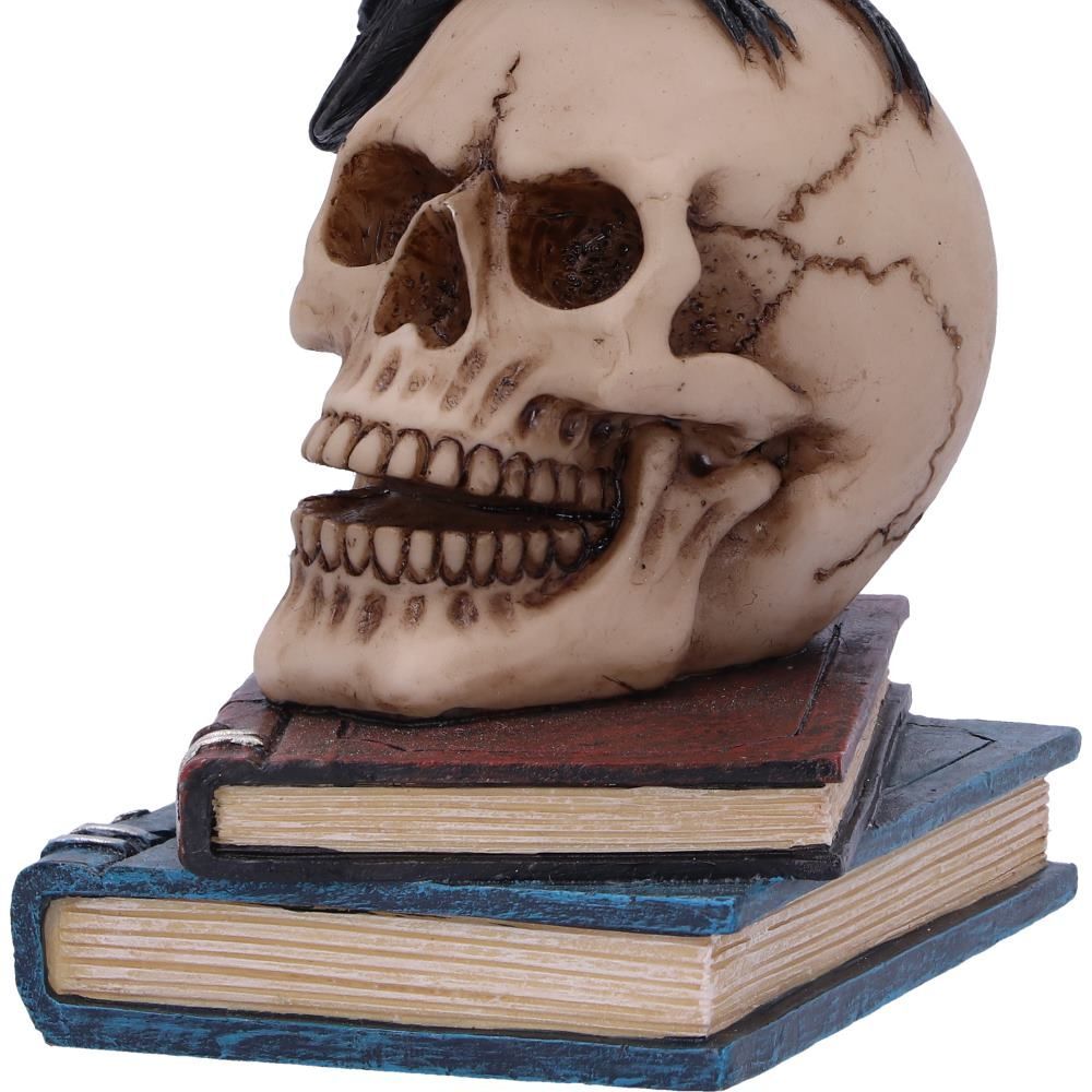 Raven Crow Black Bird Ornament Gothic Edgar Allan Poe Figurine Boxed Gift