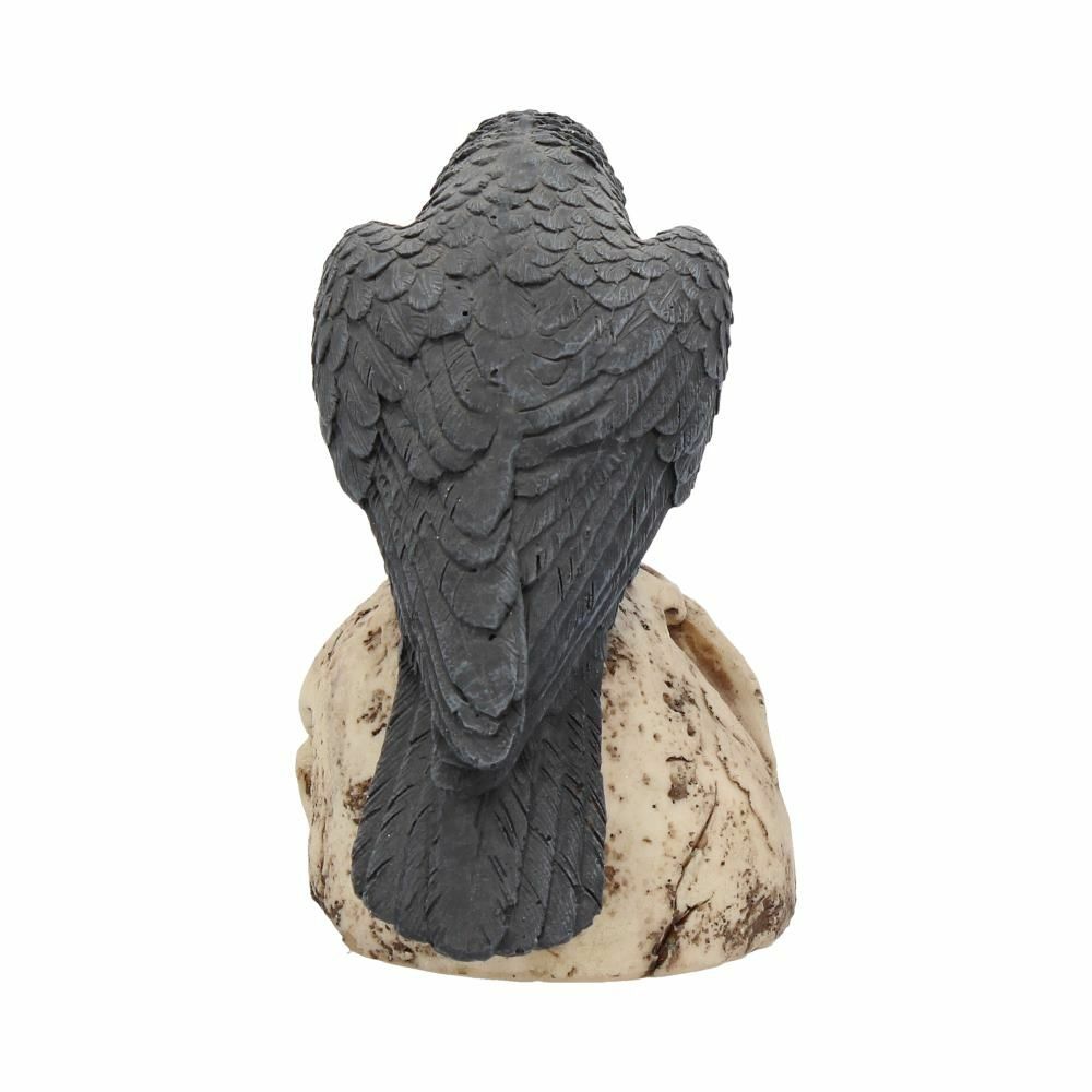 Raven Crow Black Bird Ornament Gothic Edgar Allan Poe Figurine Boxed Gift