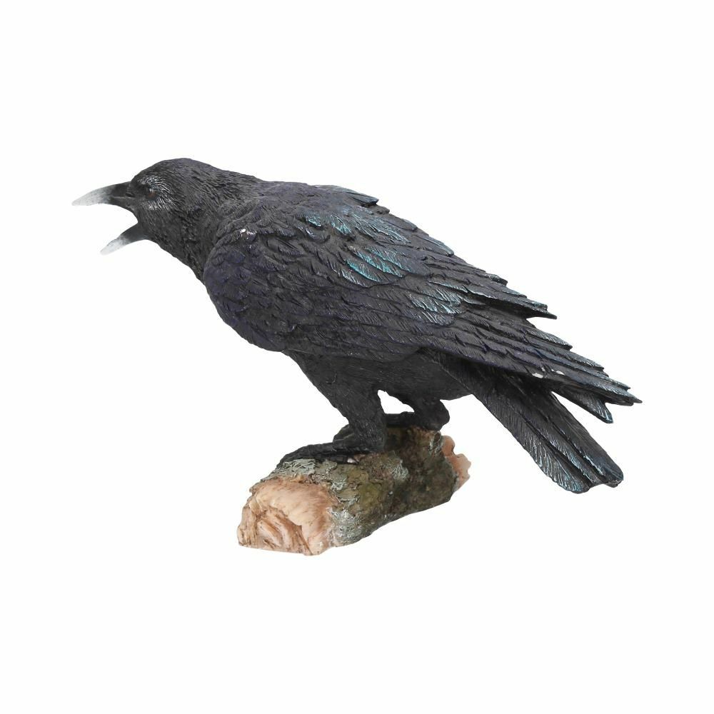 Raven Crow Black Bird Ornament Gothic Edgar Allan Poe Figurine Boxed Gift