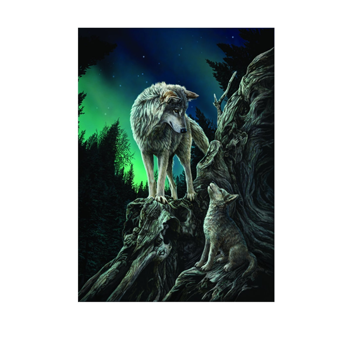Large 3D Picture Wolf Wolves Lisa Parker Size: 40cm x 30cm 3D Wall Picture