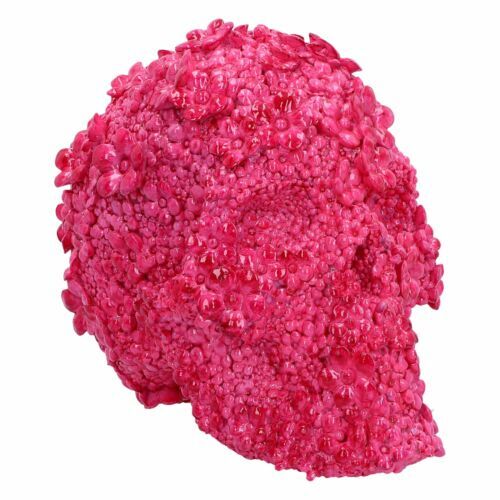 Skull Gothic Skeleton Head Ornament Figurine Home Gift Nemesis Now - Fuchsia Fate 21cm