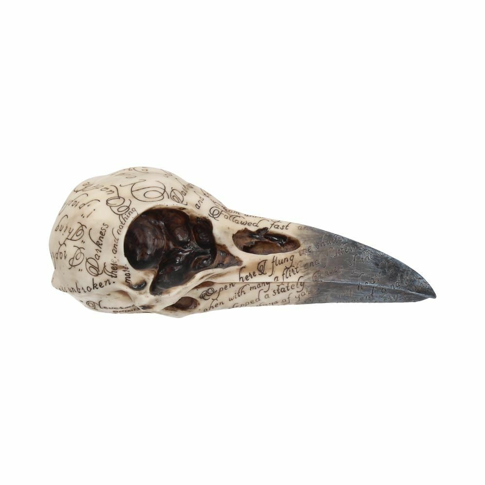 Raven Crow Black Bird Ornament Gothic Edgar Allan Poe Figurine Boxed Gift
