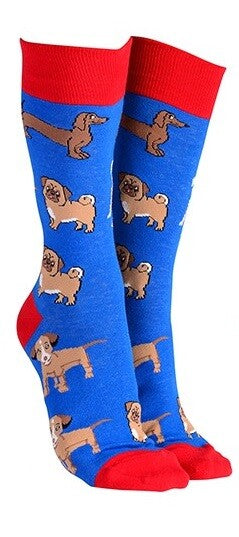 Sock Society Cotton Soft Stretchy Christmas Socks One Size Fits all (Adult 5-12) - Dogs Blue 1 Pair