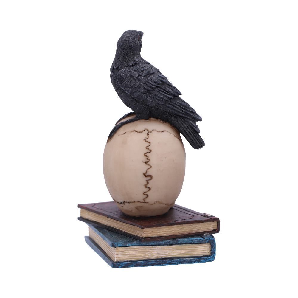 Raven Crow Black Bird Ornament Gothic Edgar Allan Poe Figurine Boxed Gift