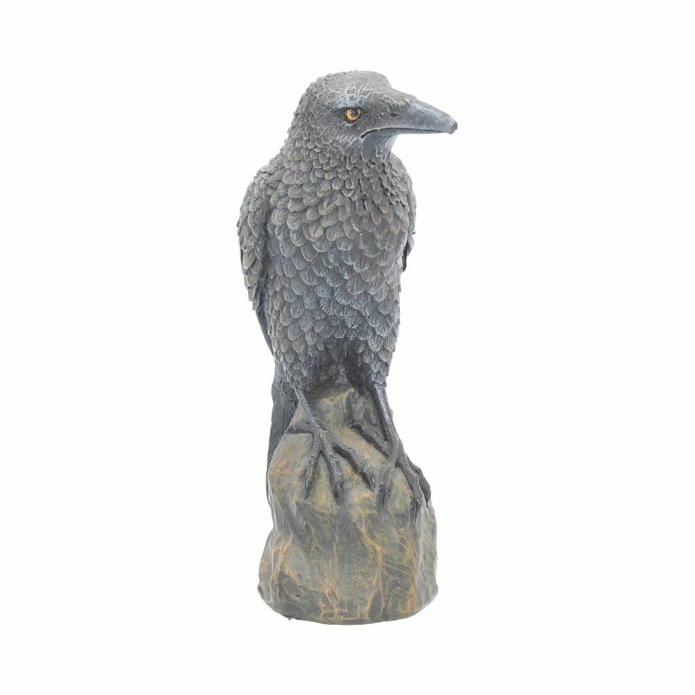 Raven Crow Black Bird Ornament Gothic Edgar Allan Poe Figurine Boxed Gift