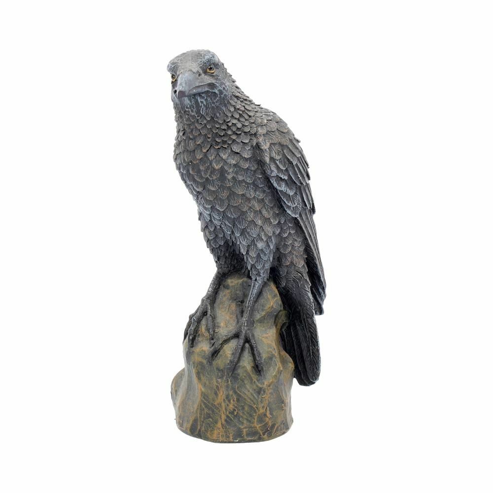 Raven Crow Black Bird Ornament Gothic Edgar Allan Poe Figurine Boxed Gift - Ravens Rest 16cm