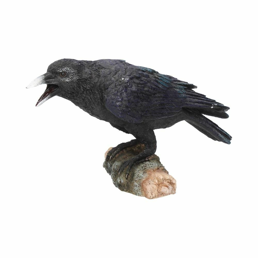 Raven Crow Black Bird Ornament Gothic Edgar Allan Poe Figurine Boxed Gift - Raven's Call 20cm