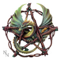 Forest Pentagram Dragon Wall Plaque Anne Stokes Wall Art 32.5cm Nemesis Now