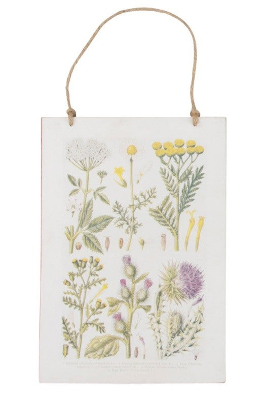 Wildflower Illustrations Hanging Plaque Country Garden Botanical Rustic Chic