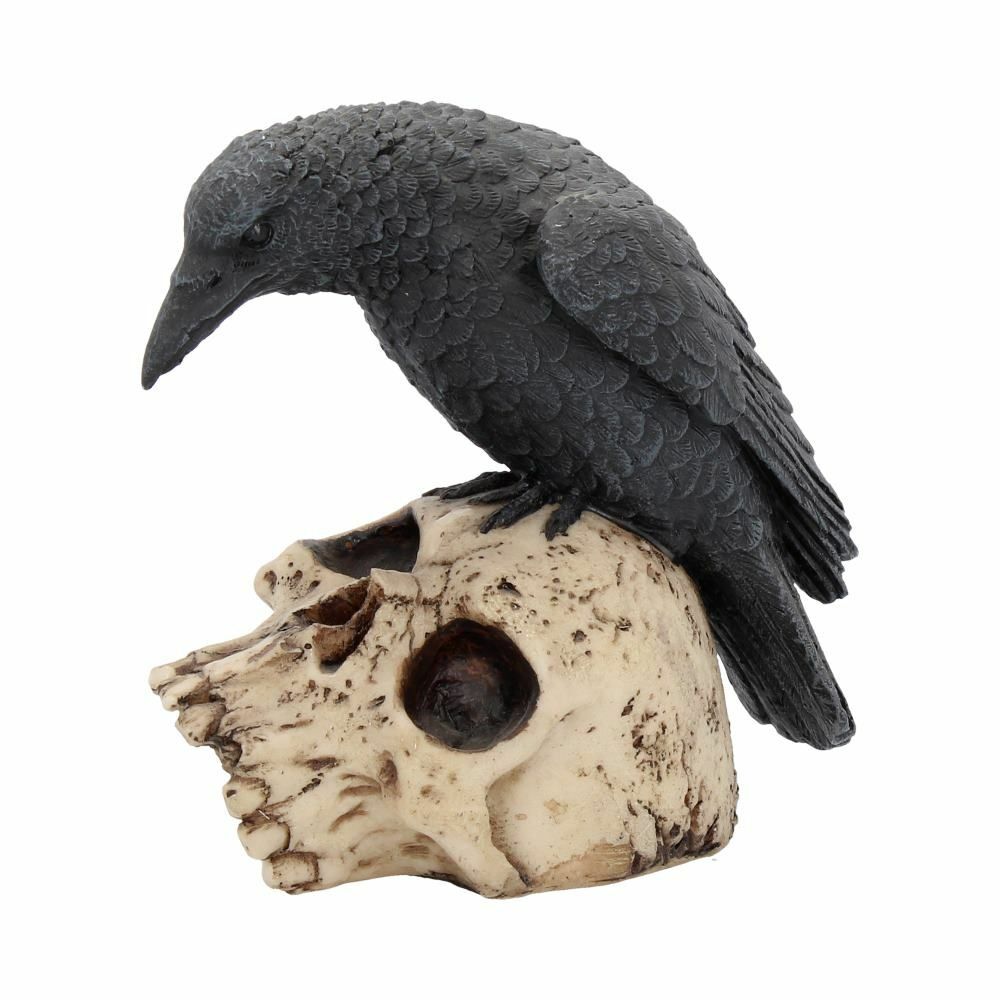 Raven Crow Black Bird Ornament Gothic Edgar Allan Poe Figurine Boxed Gift - Ravens Remains 13cm