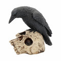 Raven Crow Black Bird Ornament Gothic Edgar Allan Poe Figurine Boxed Gift - Ravens Remains 13cm