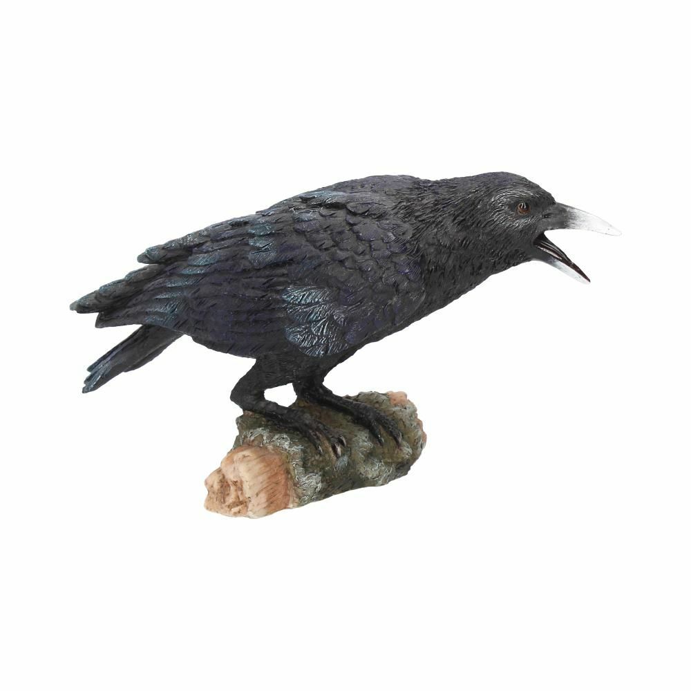 Raven Crow Black Bird Ornament Gothic Edgar Allan Poe Figurine Boxed Gift