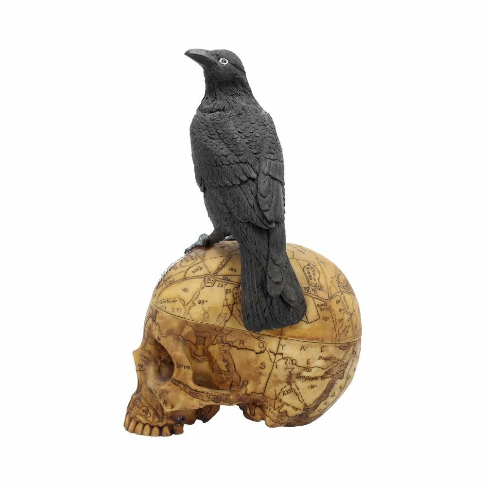Raven Crow Black Bird Ornament Gothic Edgar Allan Poe Figurine Boxed Gift