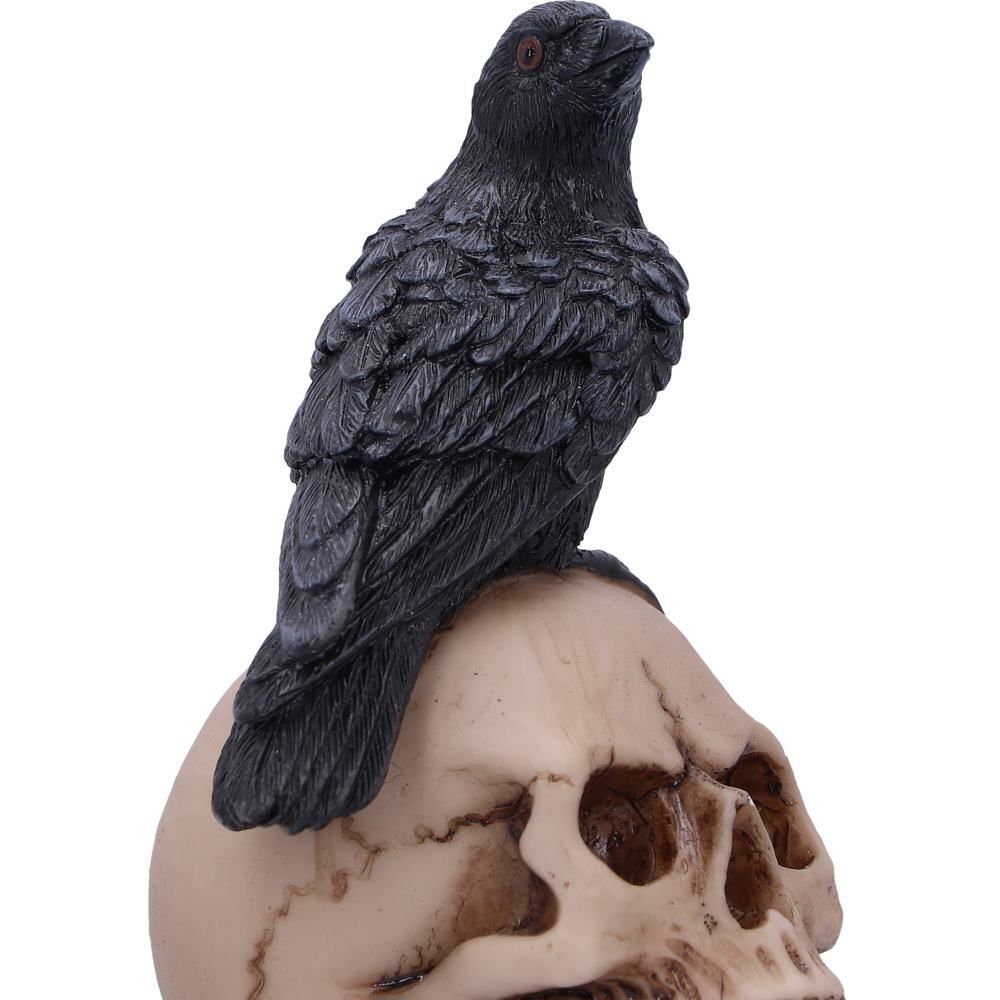 Raven Crow Black Bird Ornament Gothic Edgar Allan Poe Figurine Boxed Gift