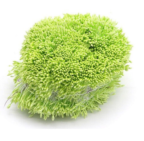 Artificial Flower Stamen Double Head Eco Friendly Floral Craft Wedding 1mm 250pc - 4. Lime