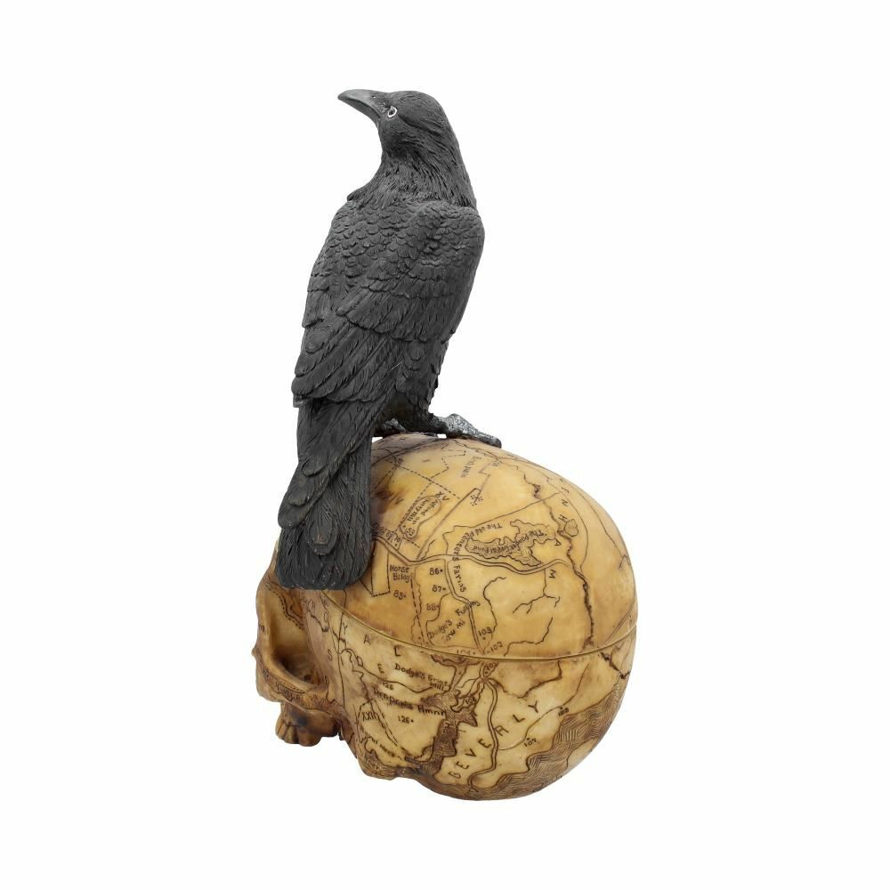 Raven Crow Black Bird Ornament Gothic Edgar Allan Poe Figurine Boxed Gift