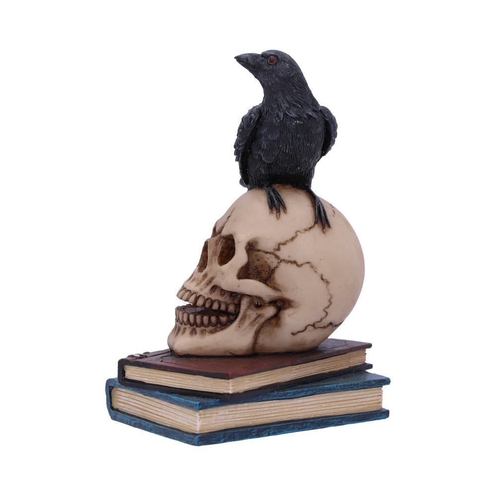 Raven Crow Black Bird Ornament Gothic Edgar Allan Poe Figurine Boxed Gift