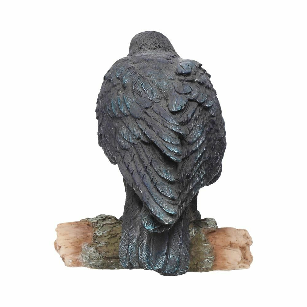 Raven Crow Black Bird Ornament Gothic Edgar Allan Poe Figurine Boxed Gift