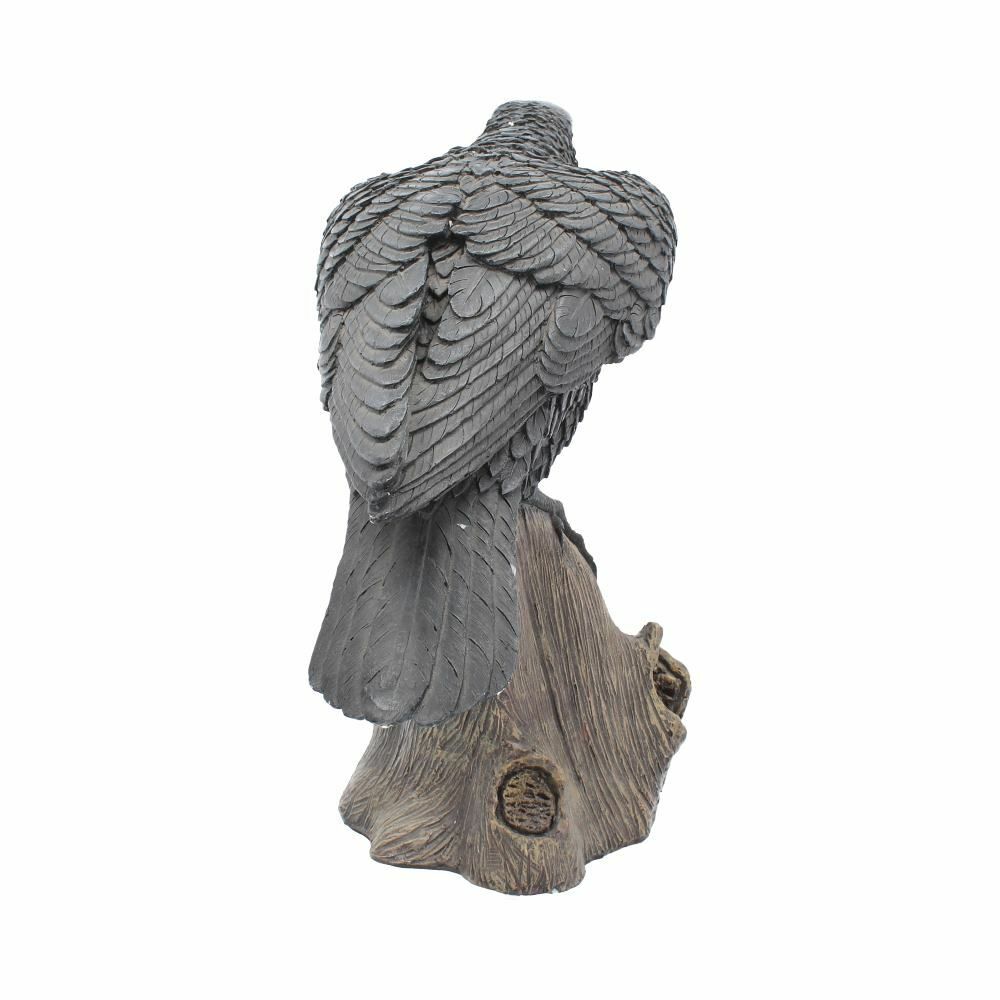 Raven Crow Black Bird Ornament Gothic Edgar Allan Poe Figurine Boxed Gift