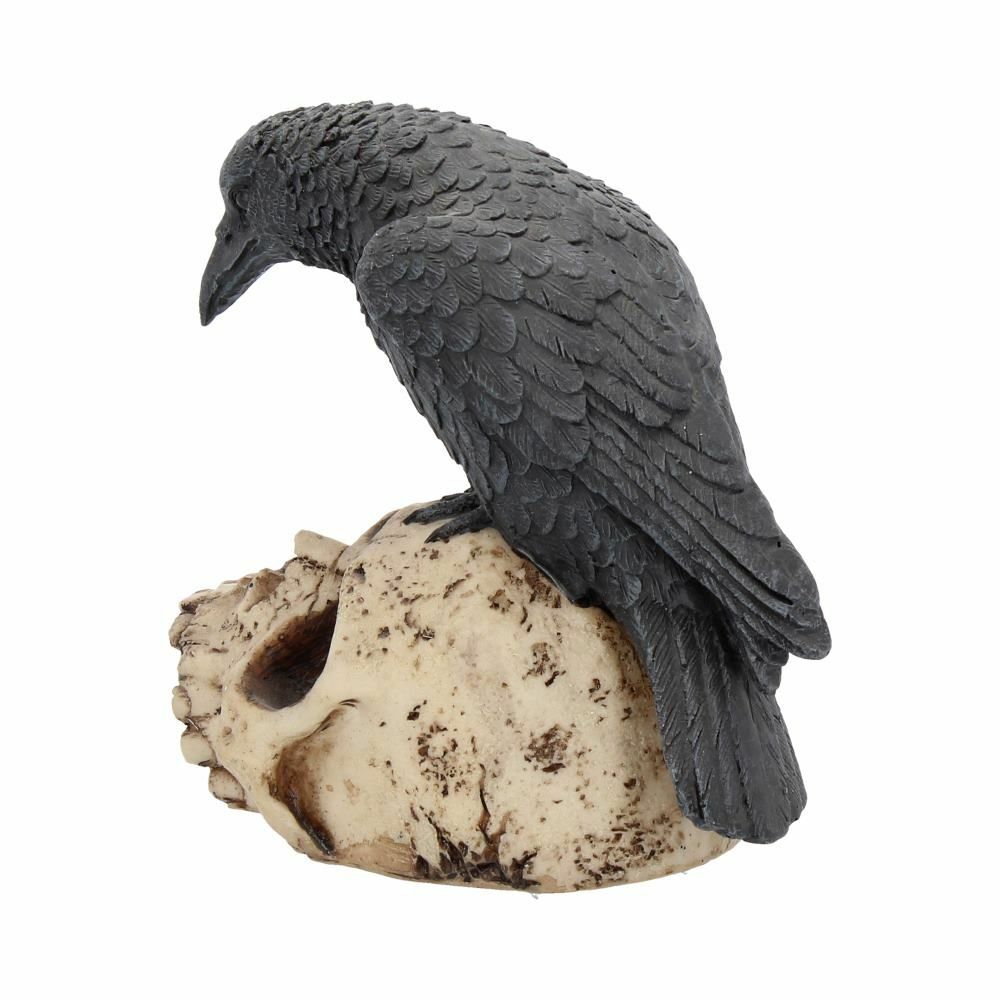 Raven Crow Black Bird Ornament Gothic Edgar Allan Poe Figurine Boxed Gift