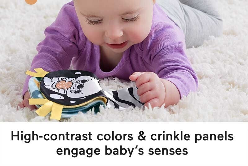 Fisher Price - 2-in-1 rockin' tummy time otter