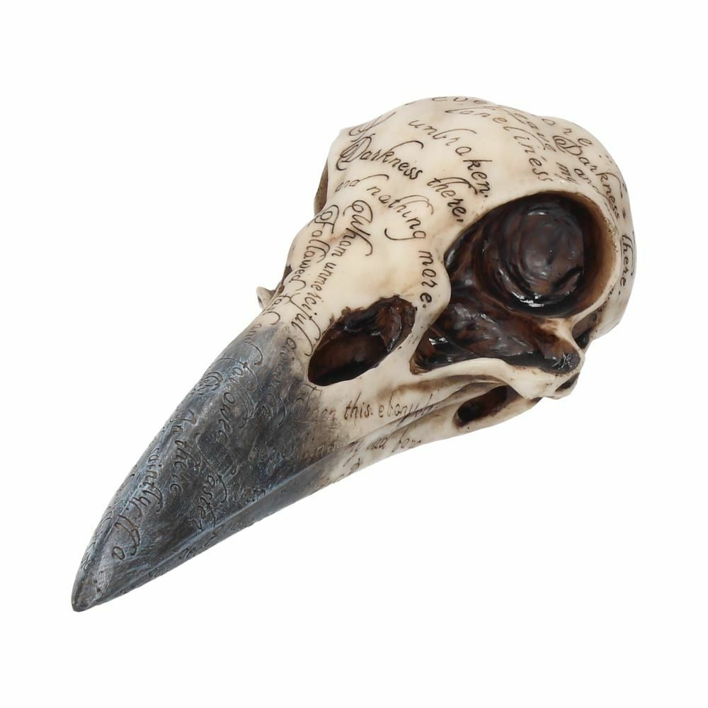 Raven Crow Black Bird Ornament Gothic Edgar Allan Poe Figurine Boxed Gift