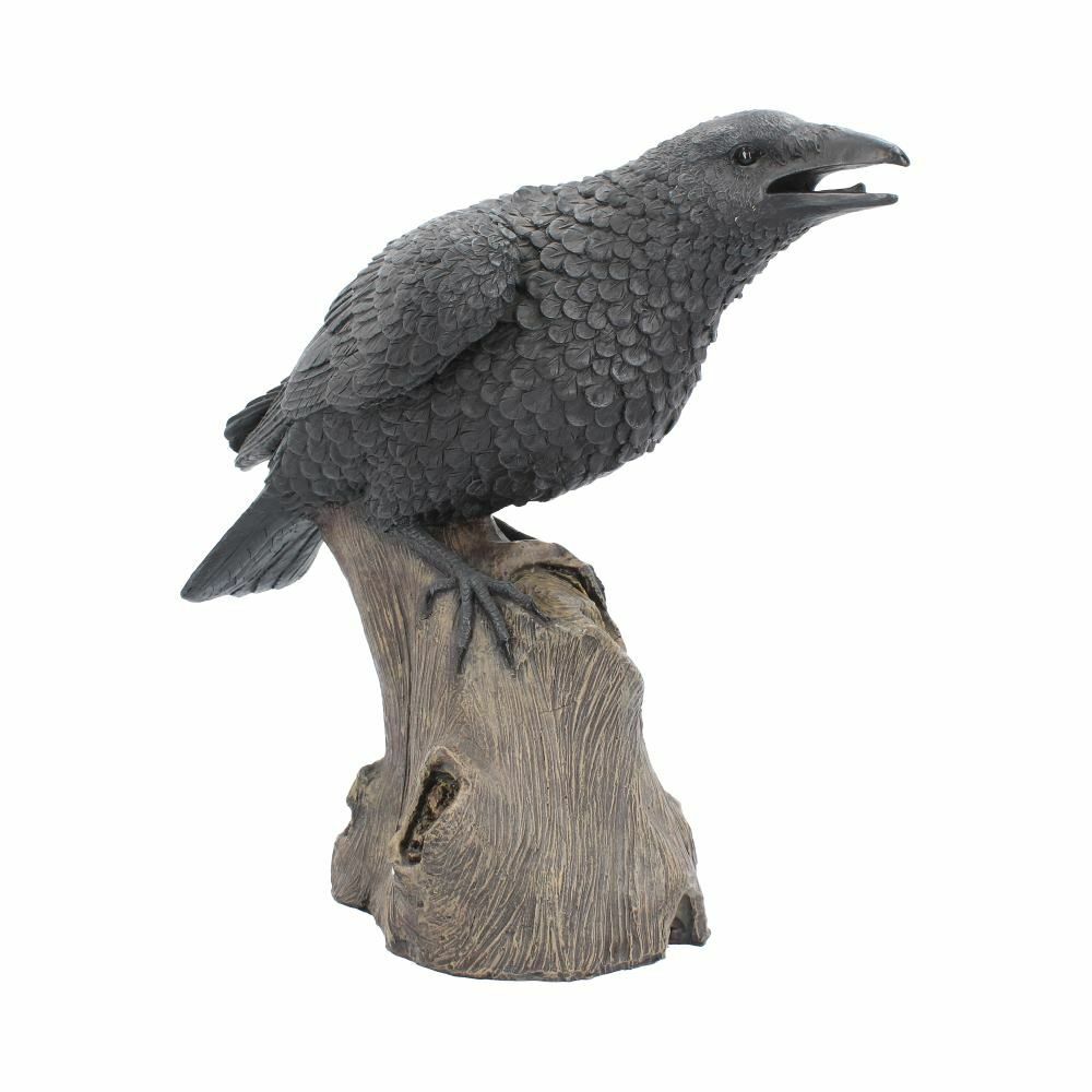 Raven Crow Black Bird Ornament Gothic Edgar Allan Poe Figurine Boxed Gift - Ravens Cry 35cm