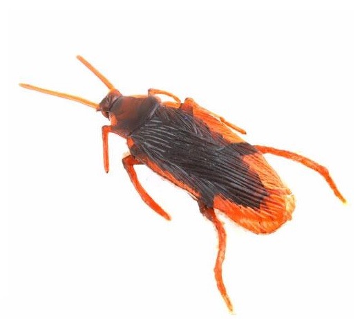 Fake Cockroach Joke Prop Gag Cockroaches Insect Plastic Bug Toy Prank