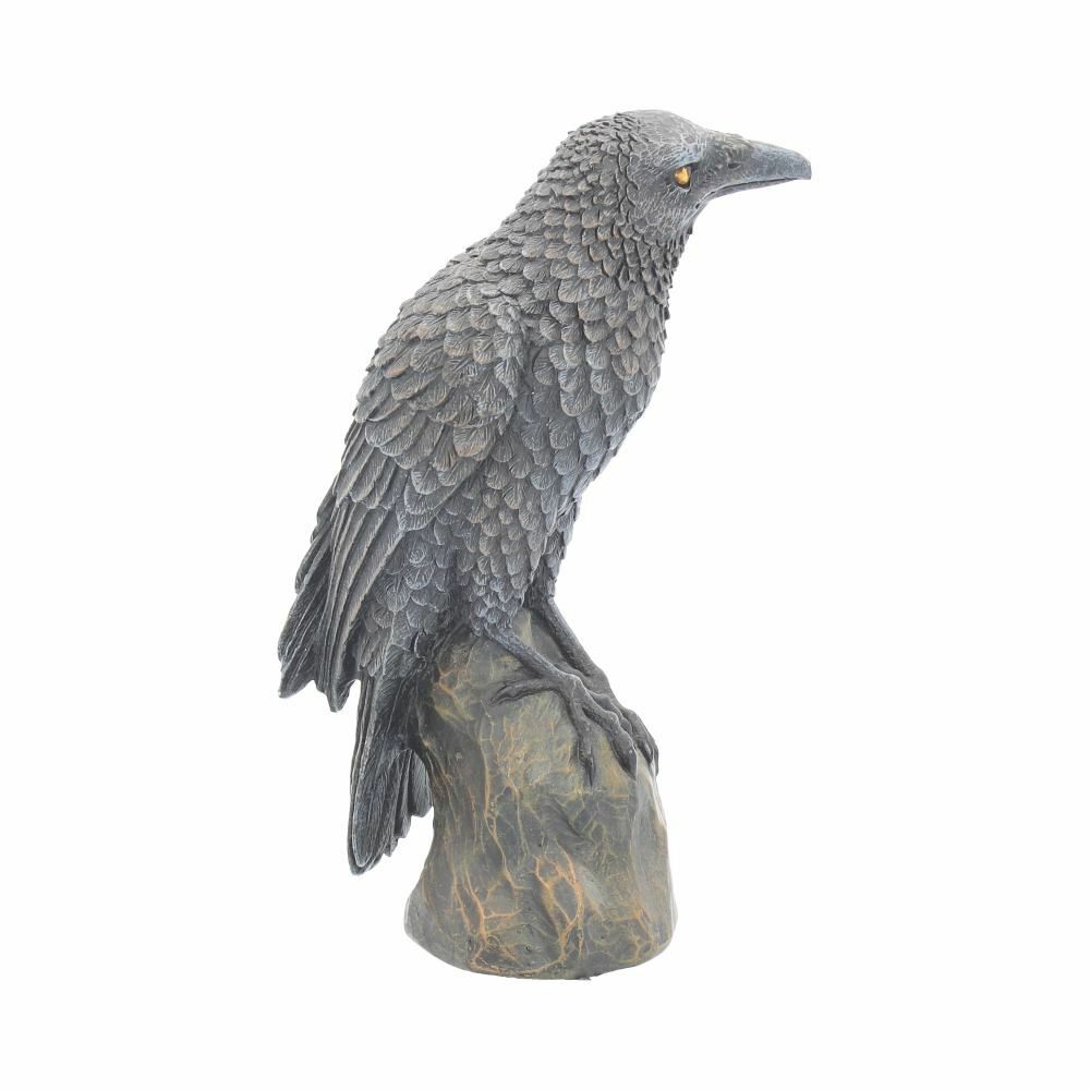 Raven Crow Black Bird Ornament Gothic Edgar Allan Poe Figurine Boxed Gift