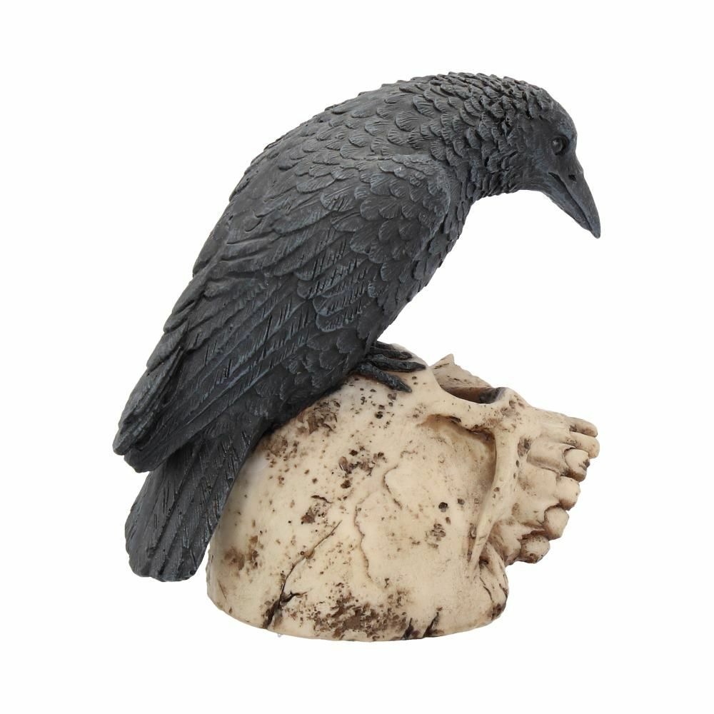Raven Crow Black Bird Ornament Gothic Edgar Allan Poe Figurine Boxed Gift