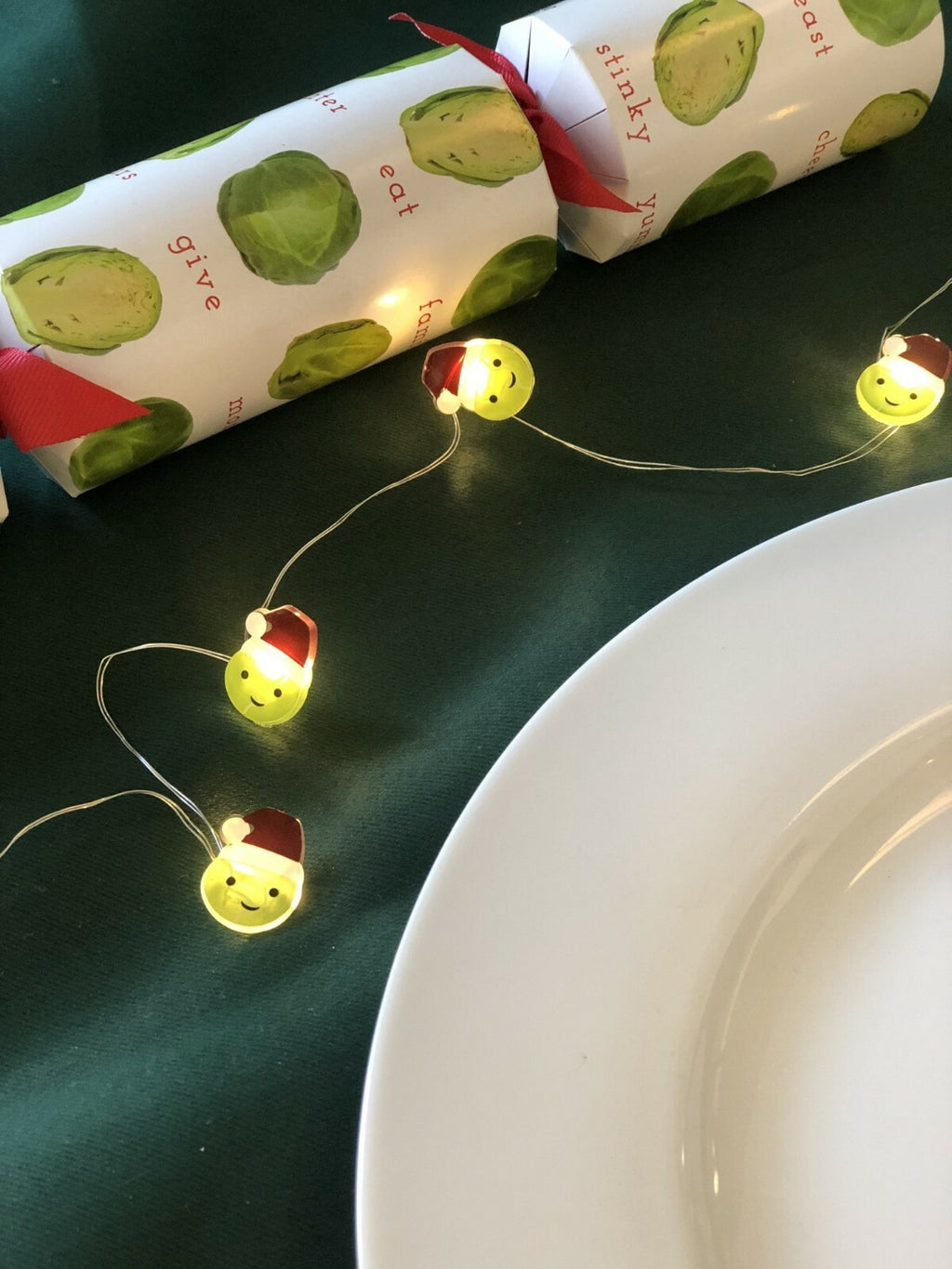 Christmas Santa Penguin Parade Sprout LED Table String Lights Garland 3 Metre