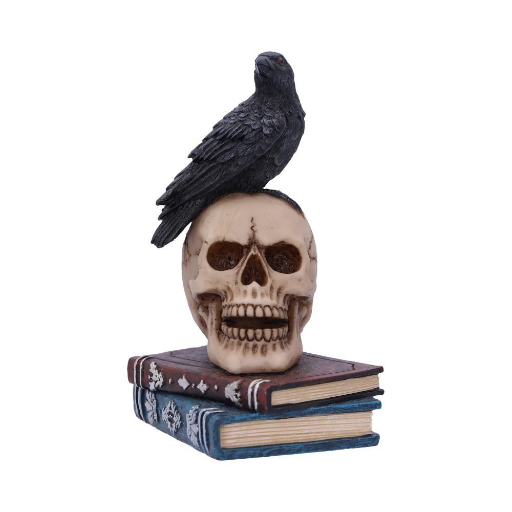 Raven Crow Black Bird Ornament Gothic Edgar Allan Poe Figurine Boxed Gift